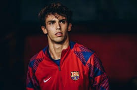 中信兄弟队确认陈俊秀将参加 2026 年初的台日交流赛，对阵软银鹰